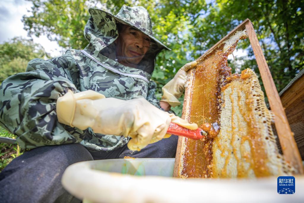 实力通宝下载